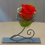 Cit'hotel De La Vallee Hotel