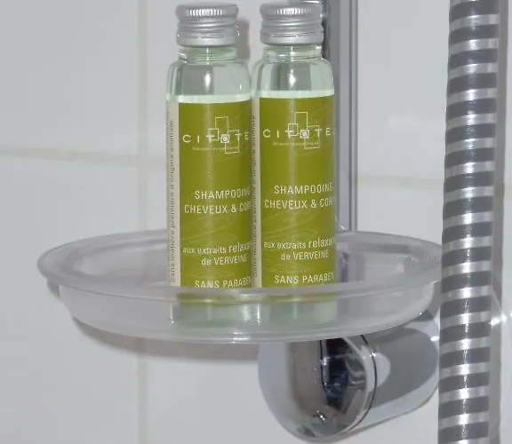 Cit'hotel De La Vallee Hotel 3*