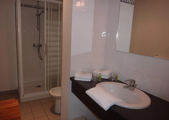 Cit'hotel De La Vallée 3* Lourdes