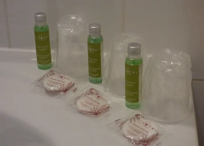 Hotel Cit'hotel De La Vallee 3*