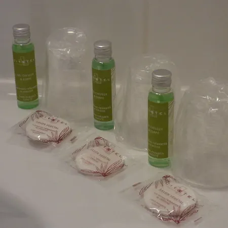 Hotel Cit'hotel De La Vallee 3*