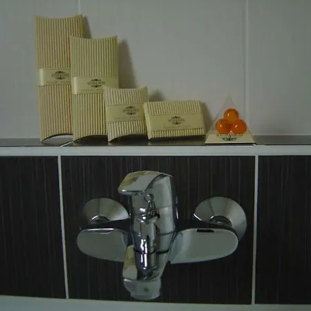 Cit'hotel De La Vallee Hotel Lourdes